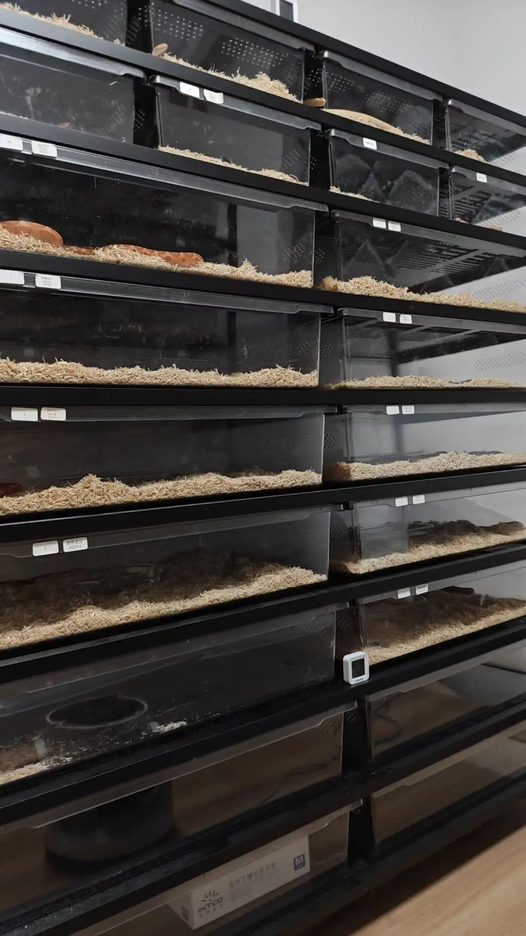 Plastic Reptile Cage Tank Snake Pet Display Case Hide Snake Rack System Reptile Enclosure Supplies including Terrarum Tubs