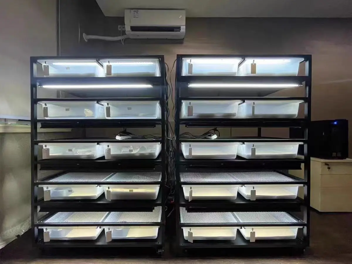 Plastic Reptile Cage Tank Snake Pet Display Case Hide Snake Rack System Reptile Enclosure Supplies including Terrarum Tubs