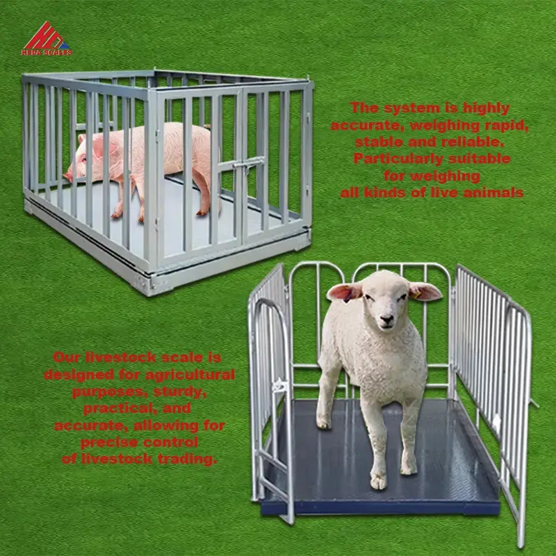 High quality steel Electronic Cattle Sheep Weighing Scale  For 3000KG Portable Livestock Weigh Scales Animal Scale  with  fence