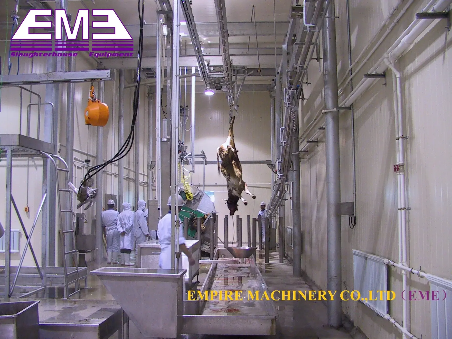 Made In China Factory Production Cattle Bleeding Shackle Livestock Abattoir Processing Machine For Cattle Slaughtering Equipment