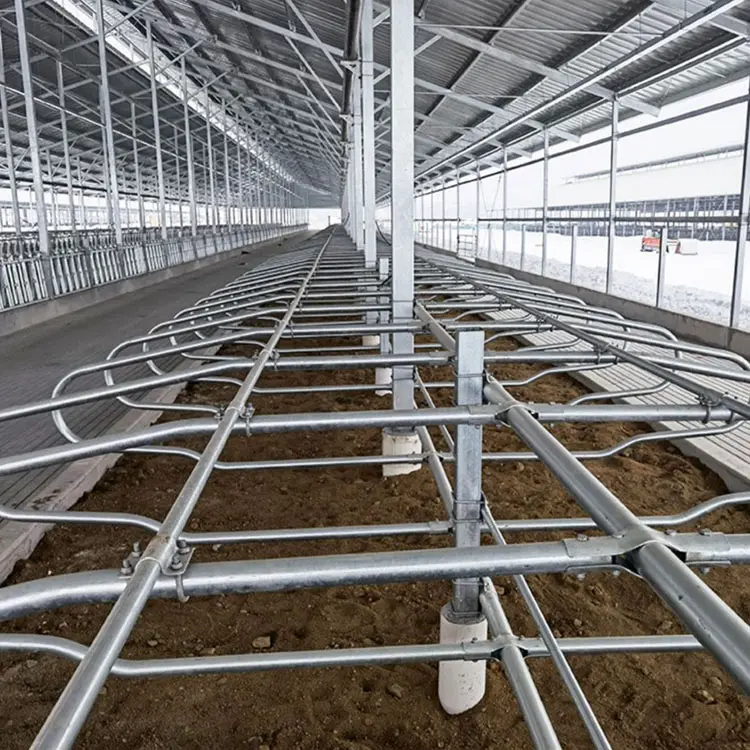 Portable Cow Cubicles Hot Dip Galvanized Cattle Livestock Divided Panels Durable Cow Free Stall For Dairy Farm