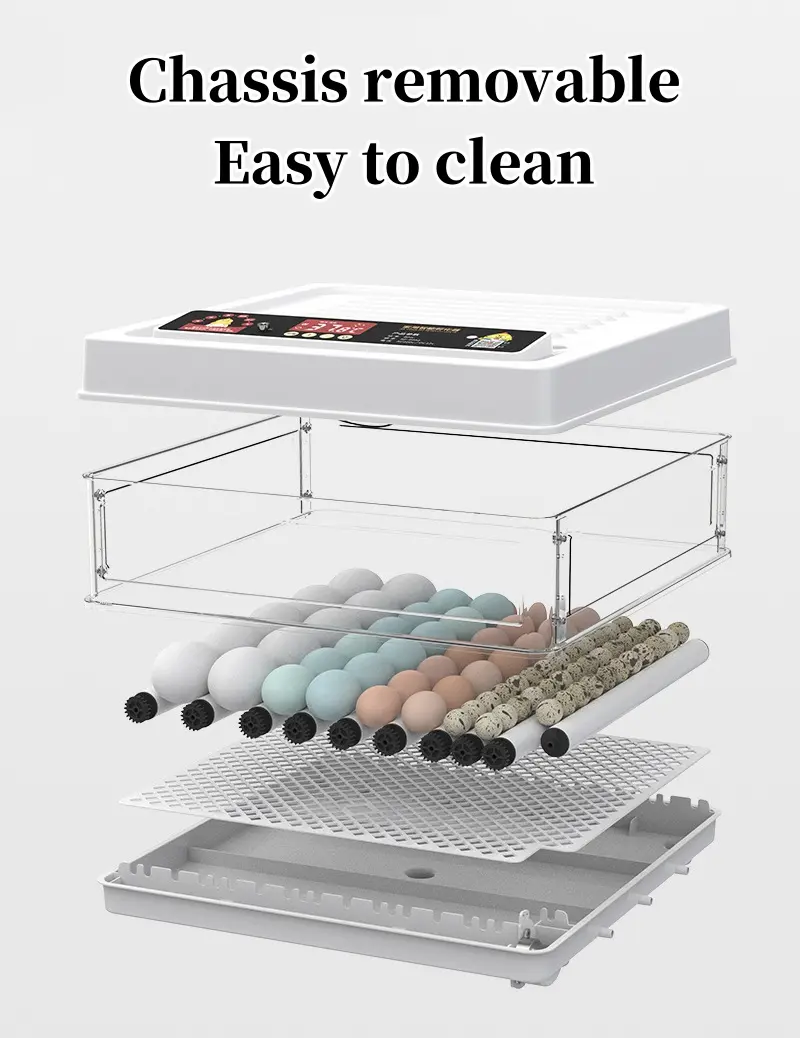 Factory Direct Sales of 64 Small Automatic Egg Turning Incubator