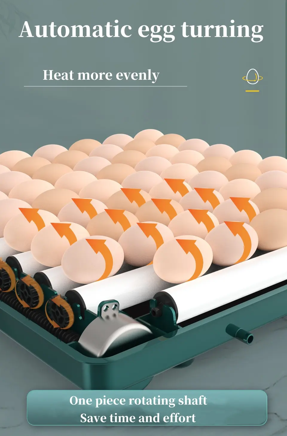 Factory Direct Sales of 64 Small Automatic Egg Turning Incubator