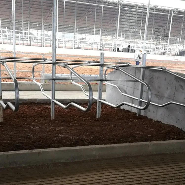 Portable Cow Cubicles Hot Dip Galvanized Cattle Livestock Divided Panels Durable Cow Free Stall For Dairy Farm