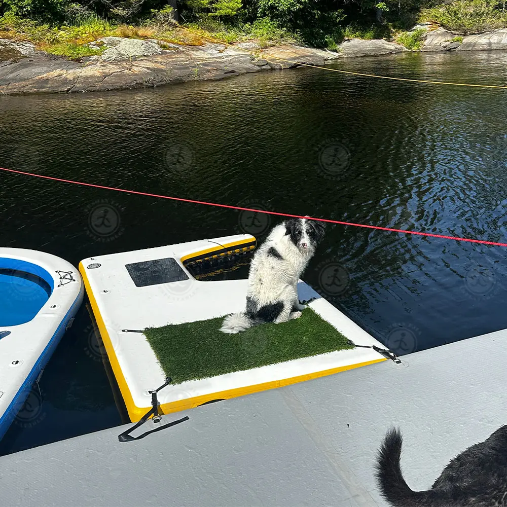 2025 New Design Inflatable Island Dog Beach & Ramp Dwf Inflatable Dog Boat Ladder Pool Pup Ramp for Small and Large Dogs