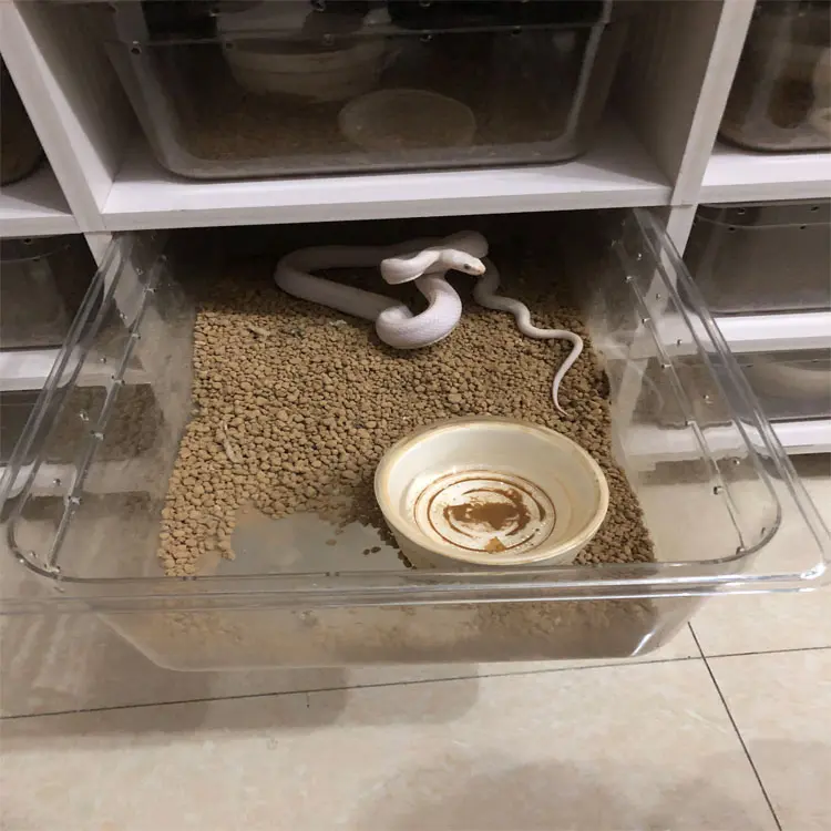 Custom Size Size Large Intelligent Double Temperature Control Temperature Control PVC Reptile Snake Cage Chameleon Feeding House