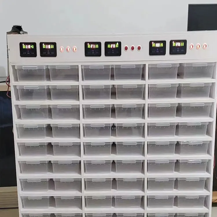 Custom Size Size Large Intelligent Double Temperature Control Temperature Control PVC Reptile Snake Cage Chameleon Feeding House