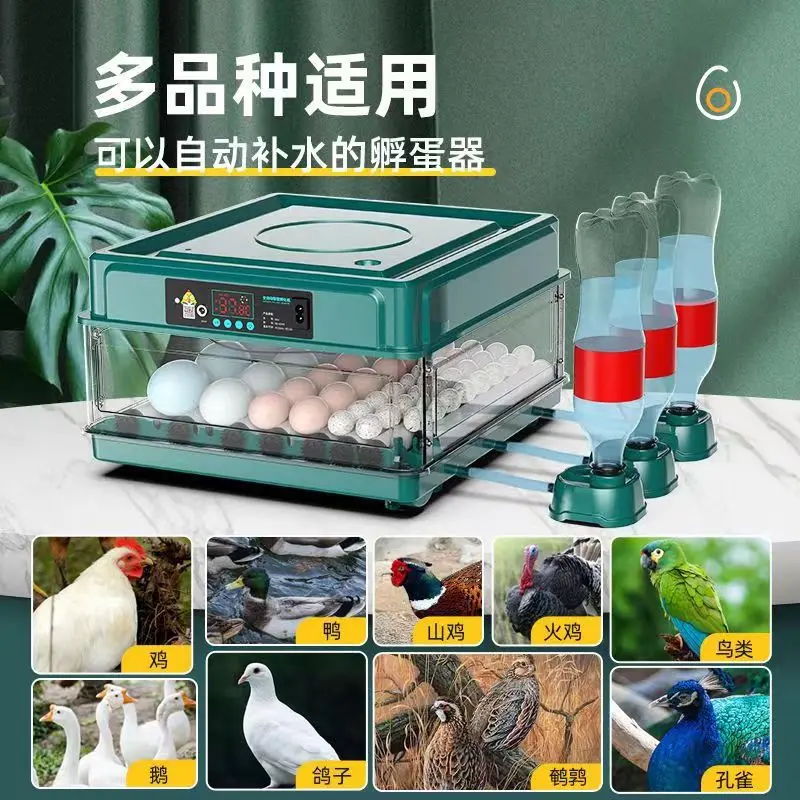 Automatic Temperature Egg Incubator Factory Best Price 15/30/48/70/130 Pcs Mini Automatic  Water SupplyChicken Egg Incubator