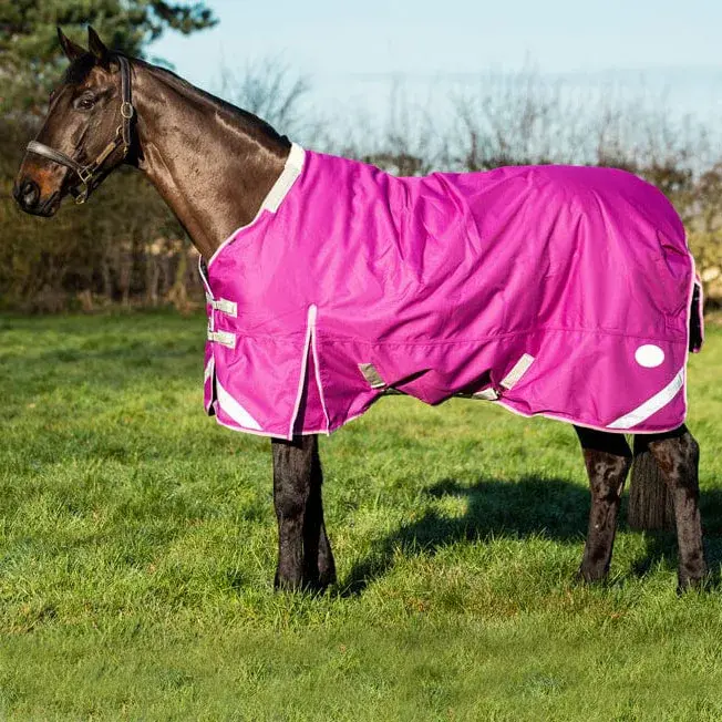 Manufacturer Direct Sell Comfortable Durable Horse Blankets Customized Solid 200g Fleece Filling Waterproof Horse Rug