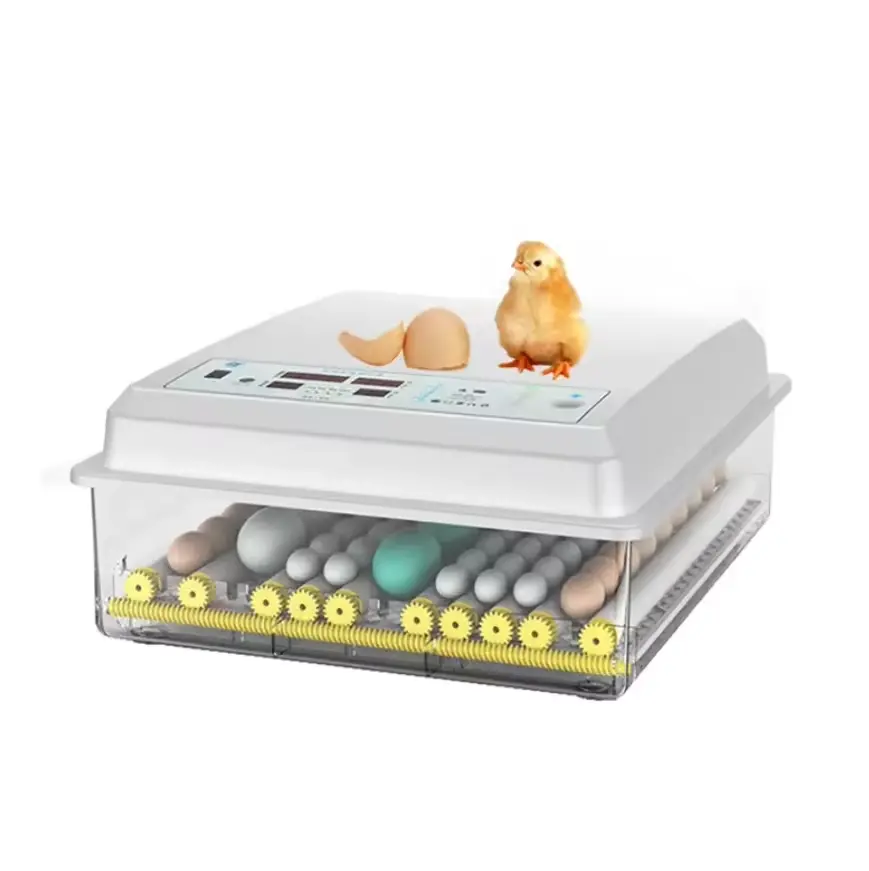 324
