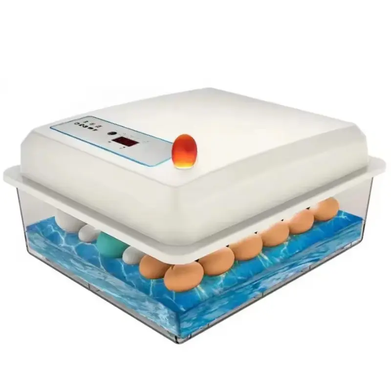 Supply Fully Automatic Small Size 36 Chick Egg Hatching Incubator Hatcher for Chicken Quail Duck Eggs