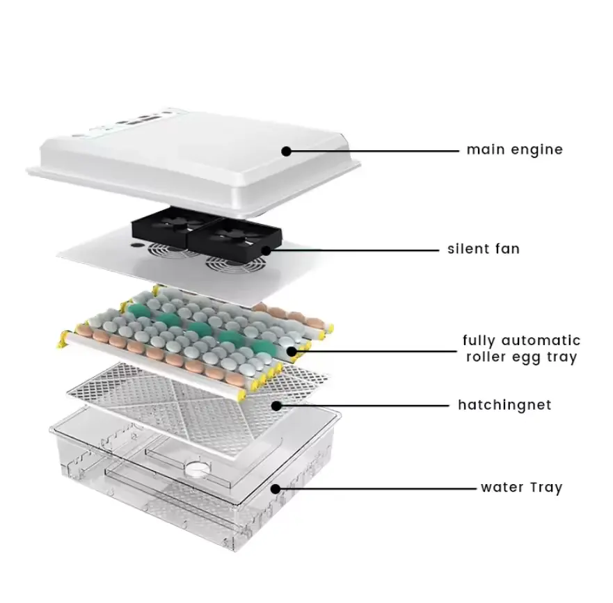 Supply Fully Automatic Small Size 36 Chick Egg Hatching Incubator Hatcher for Chicken Quail Duck Eggs