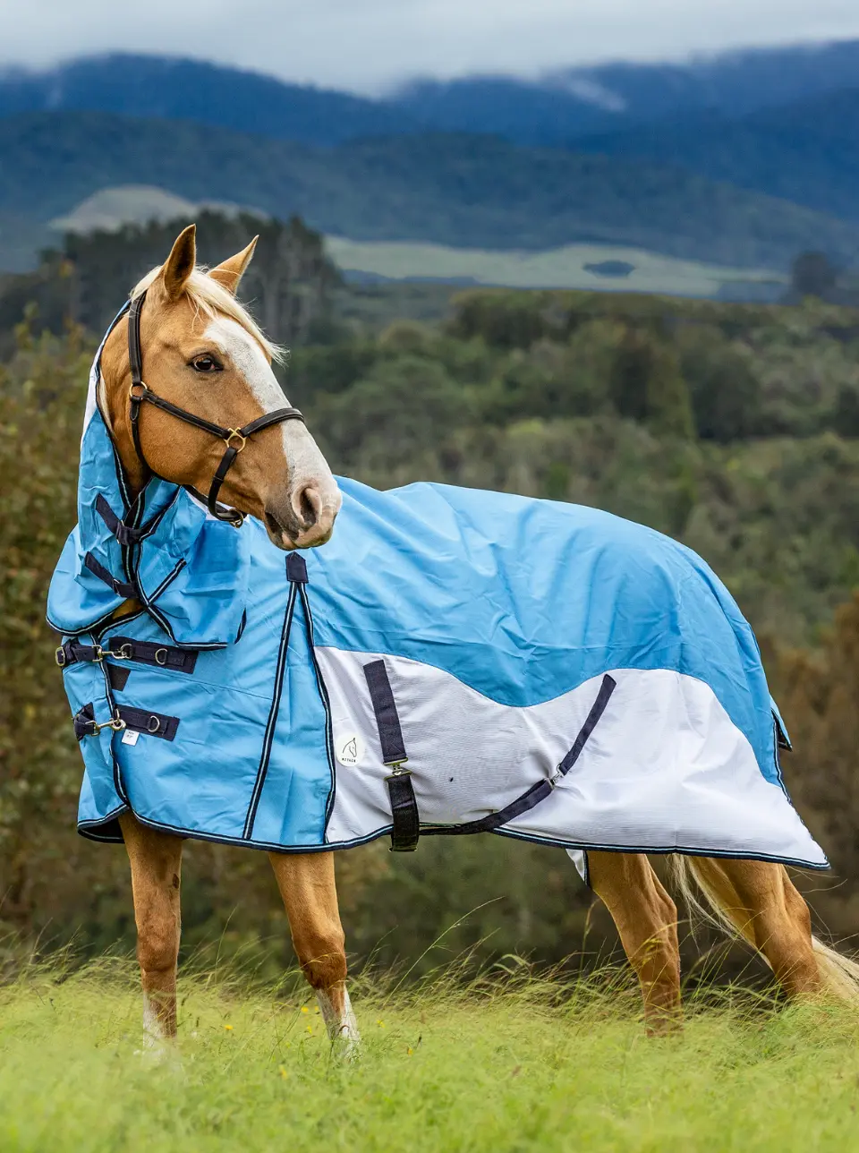 Horse Winter Cover Horse Rugs Horse Blanket with Detachable Neck Cover Waterproof Blanket Quilted Padded Liner