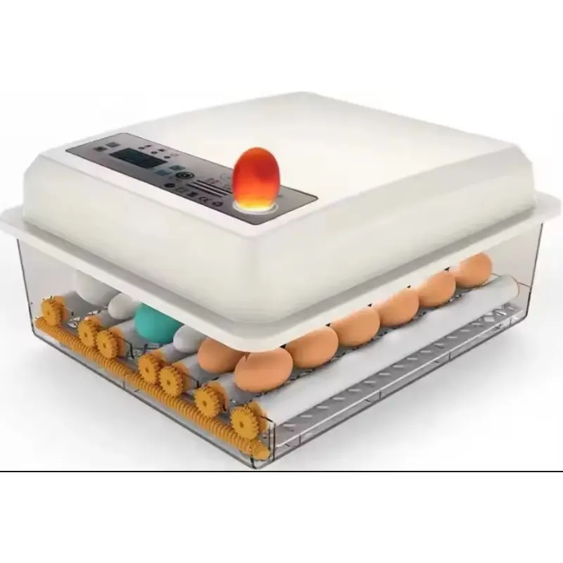 Supply Fully Automatic Small Size 36 Chick Egg Hatching Incubator Hatcher for Chicken Quail Duck Eggs