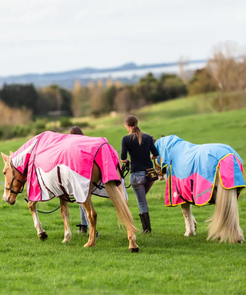 Horse Winter Cover Horse Rugs Horse Blanket with Detachable Neck Cover Waterproof Blanket Quilted Padded Liner