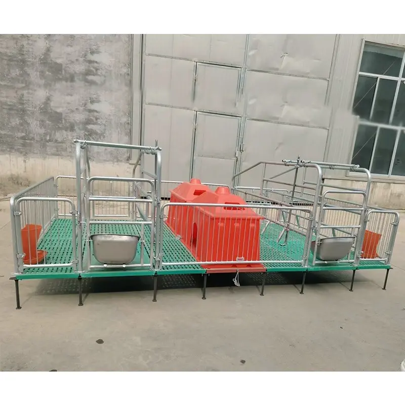 Feed trough whole set plastic slat floor for goat farm Pig farming equipment farrowing crate for pigs