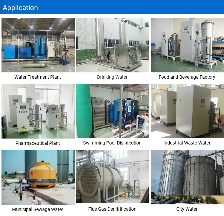 Flygoo China Manufacturer 1500g Industrial Water Filter Ozone  Generator for Farm Fish Pond Water Storage Treatment