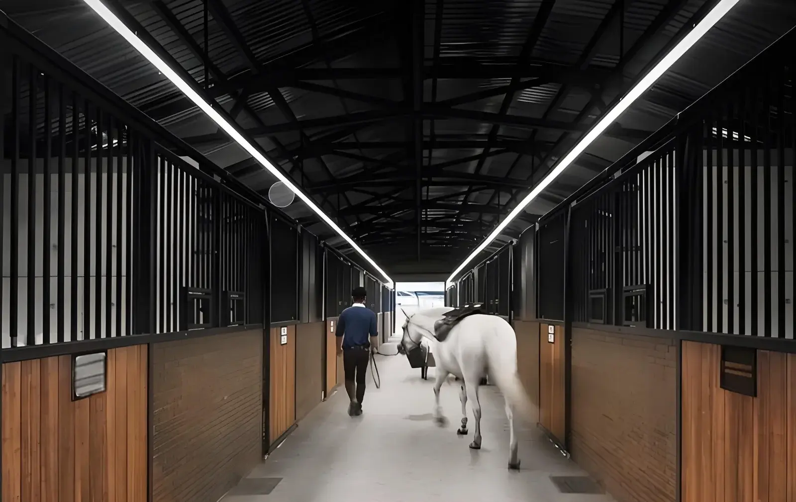 The latest modern horse stables High-end atmosphere European horse stalls Indoor and outdoor are available horse rooms
