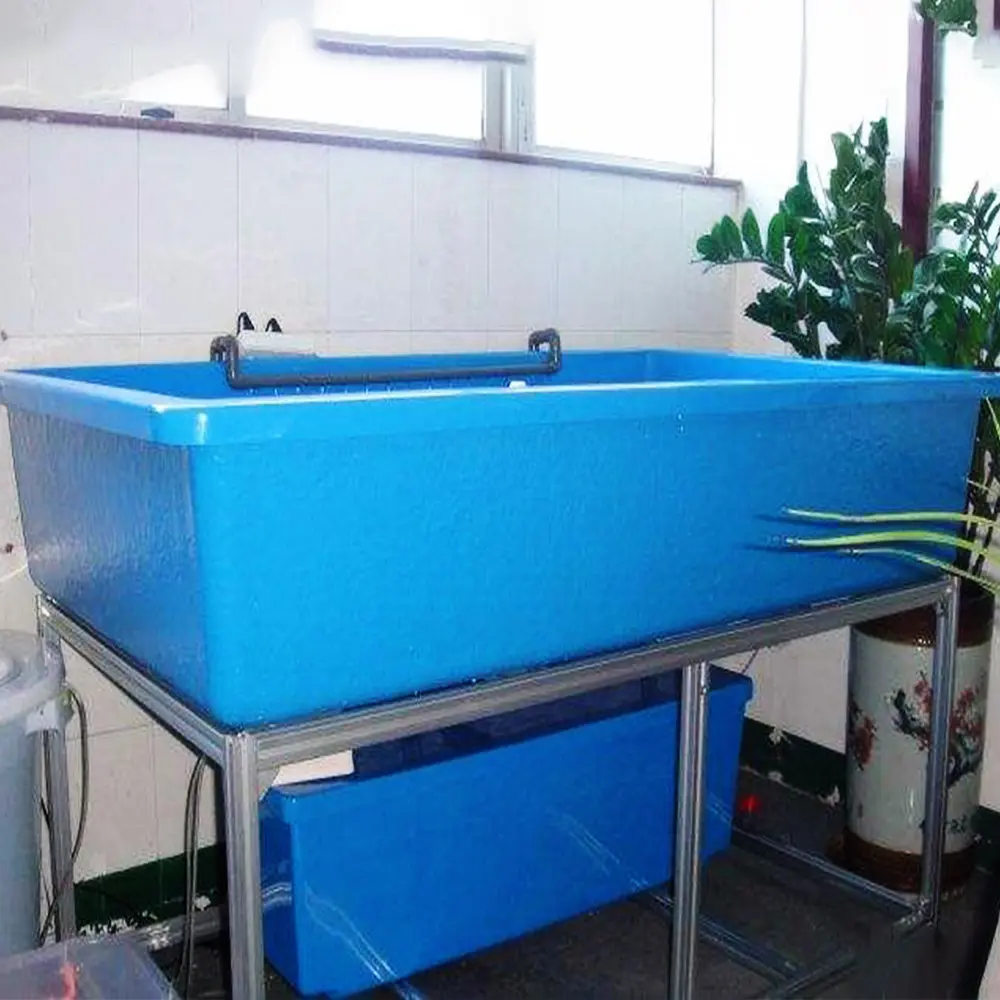Wholesale Fiberglass Large Fish tank Aquarium Outdoor Fish Pond tank for Fish Breeding