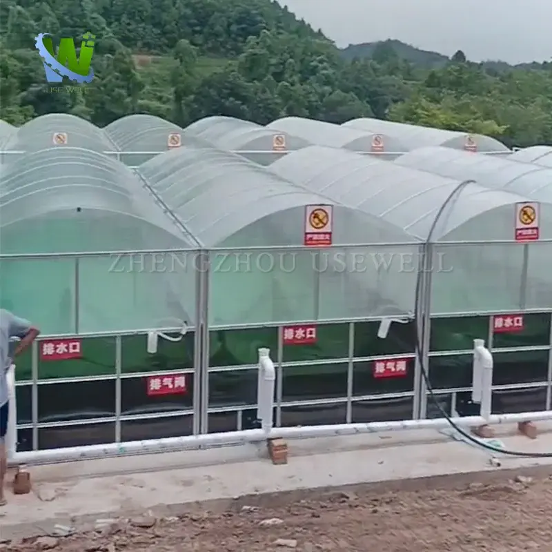 Home Cow Dung Biodigester Equipment Solar Biogas System Biogas Digester Plant For Pig Farming For Sale
