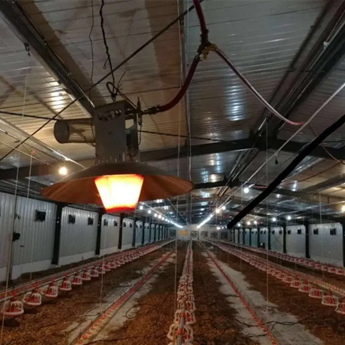 Hot Sale China Factory Supply Poultry Gas Heater for Farming Chicken Birds
