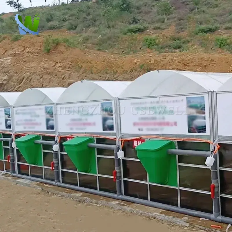 Home Cow Dung Biodigester Equipment Solar Biogas System Biogas Digester Plant For Pig Farming For Sale