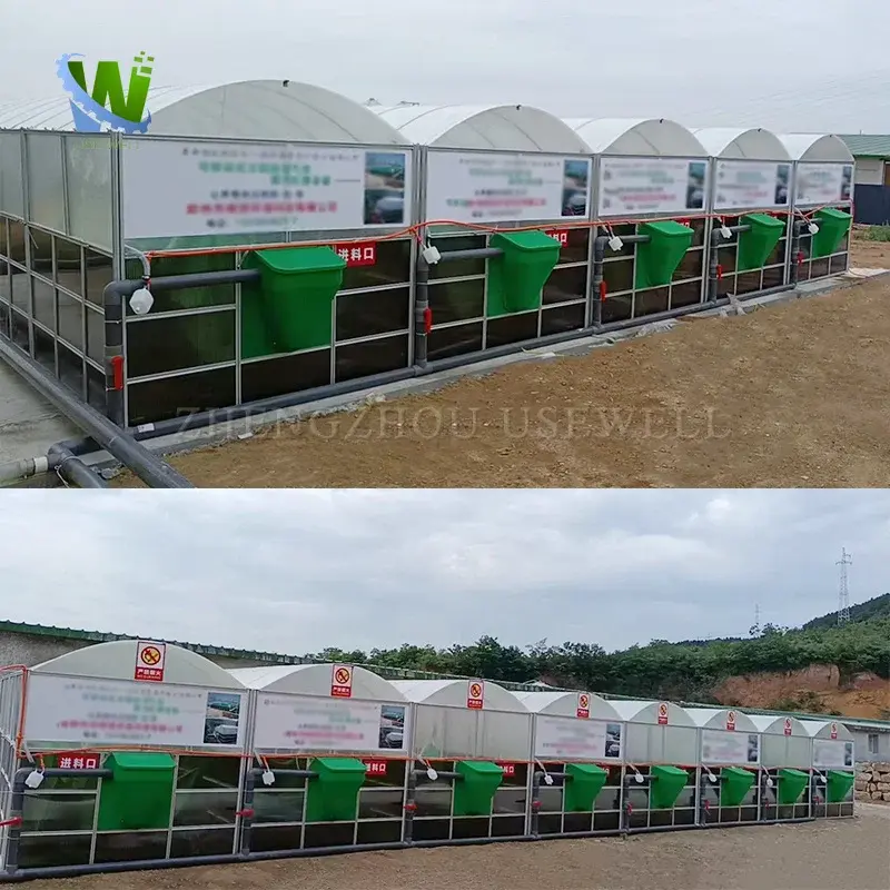 Home Cow Dung Biodigester Equipment Solar Biogas System Biogas Digester Plant For Pig Farming For Sale