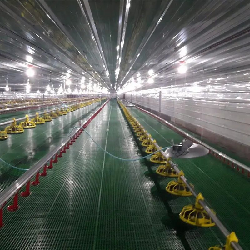 Hot Sale China Factory Supply Poultry Gas Heater for Farming Chicken Birds