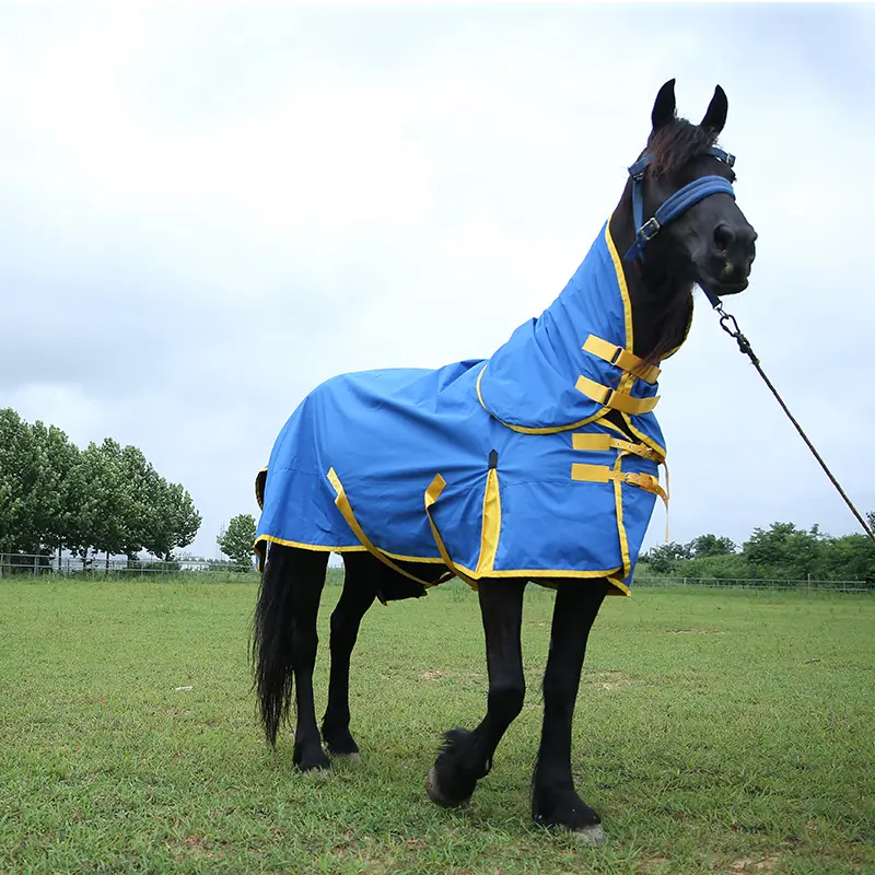 Customized New Style Horse Protection Supplier of Waterproof Horse Breathable Magnetic Horse Blanket