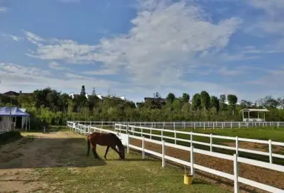 Custom Horse ranch paddock fence factory vinyl plastic PVC ,cheap plastic white PVC horse fence