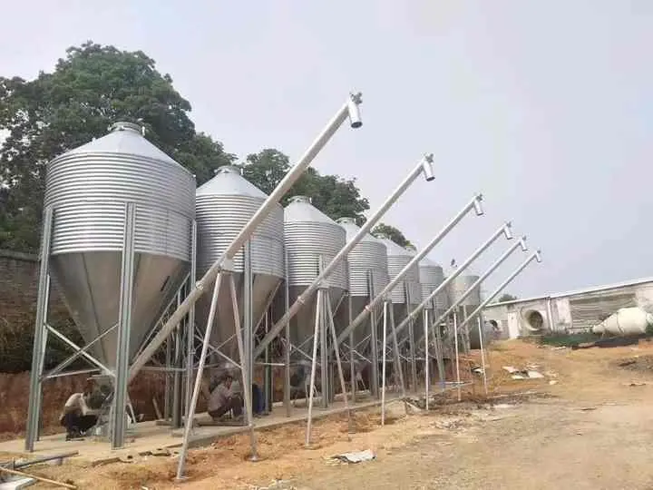 Jinlong Poultry Farming Feeding System Poultry Feed Silo for Poultry Chicken Farm