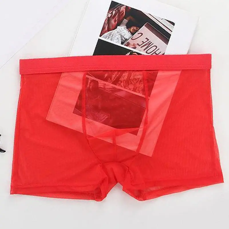 Men's Underwear Transparent Boxers Bulge Ice Silk See Through Underpants Sexy Briefs Low Waist Panties Lingerie Intimates
