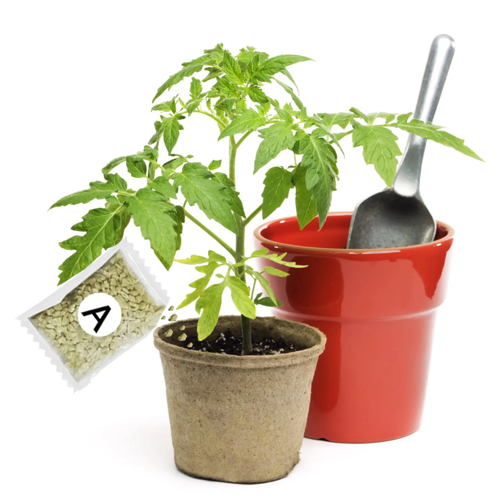 Efficient Plant Fertilizer Seed Germination Nutrient Solution For Potted Plant Transplantation Flower Root Strong Granular