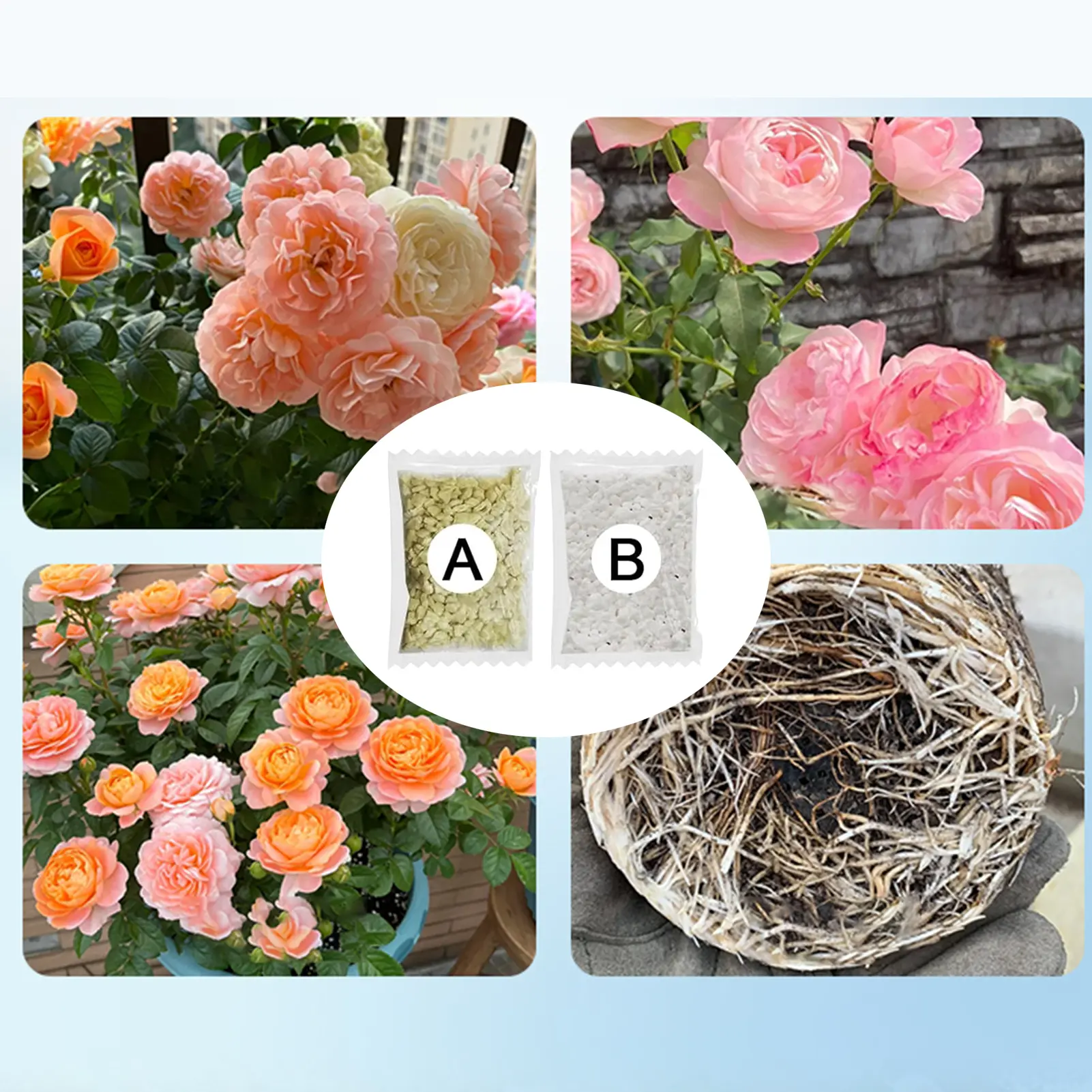 Efficient Plant Fertilizer Seed Germination Nutrient Solution For Potted Plant Transplantation Flower Root Strong Granular