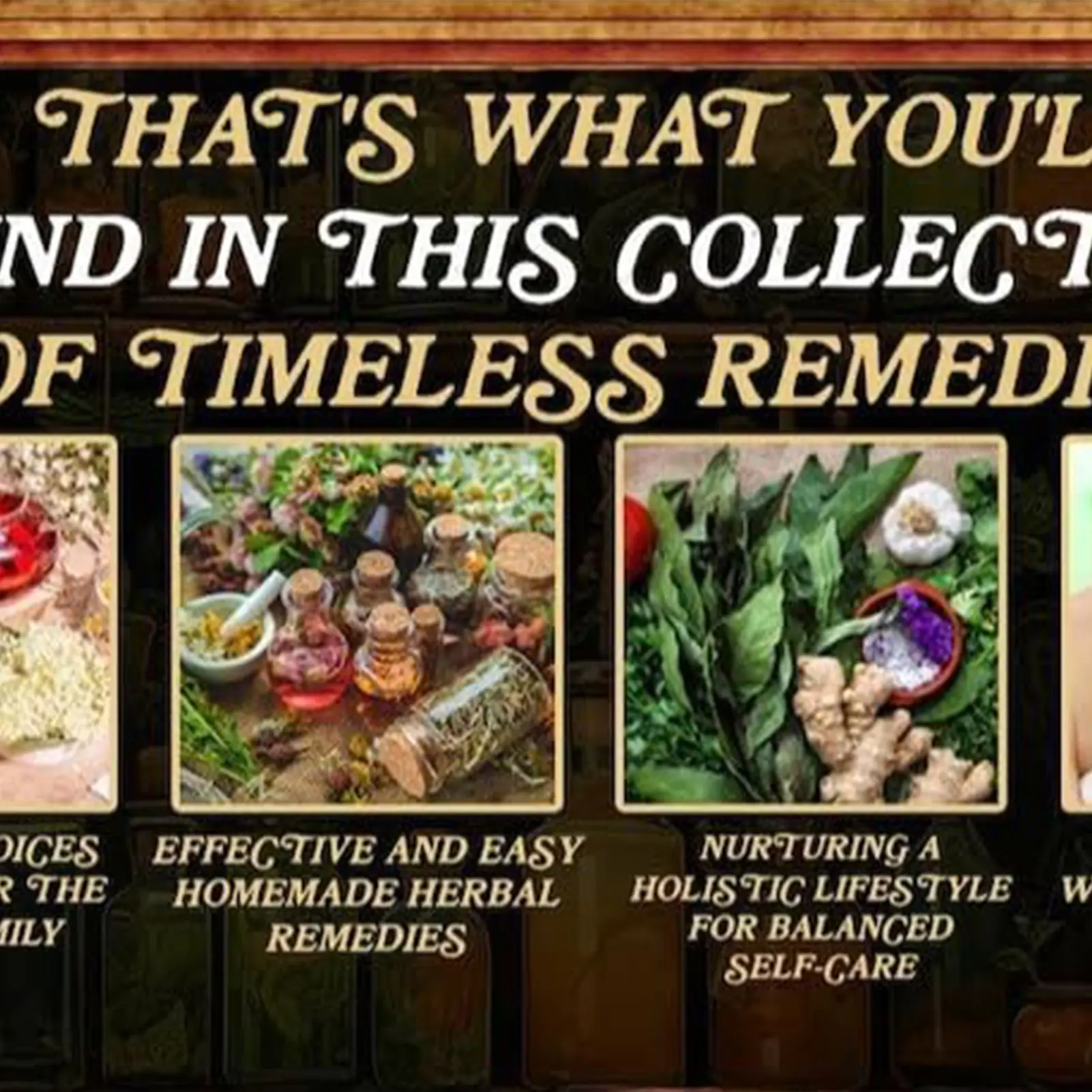 The Lost Book of Herbal Remedies A Beginner's Guide to Exploring Traditional Plant Wisdom Gift for Friends Family Members