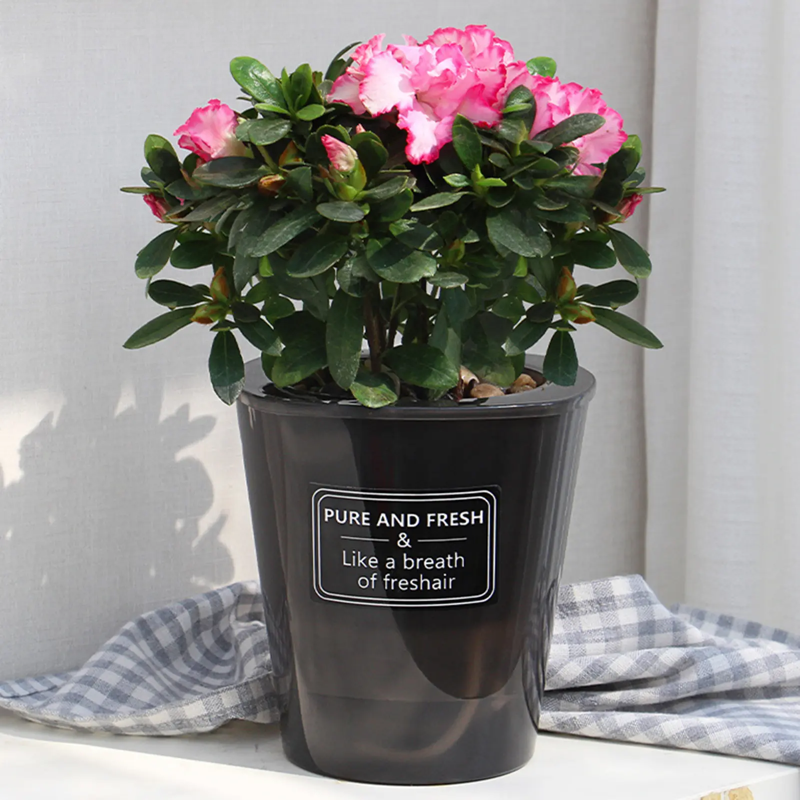 Nordic Style Self-priming Flowerpot Lazy Flowerpot For Rose Rose Succulent Plant Thickened Water Level Visible Plastic Flowerpot