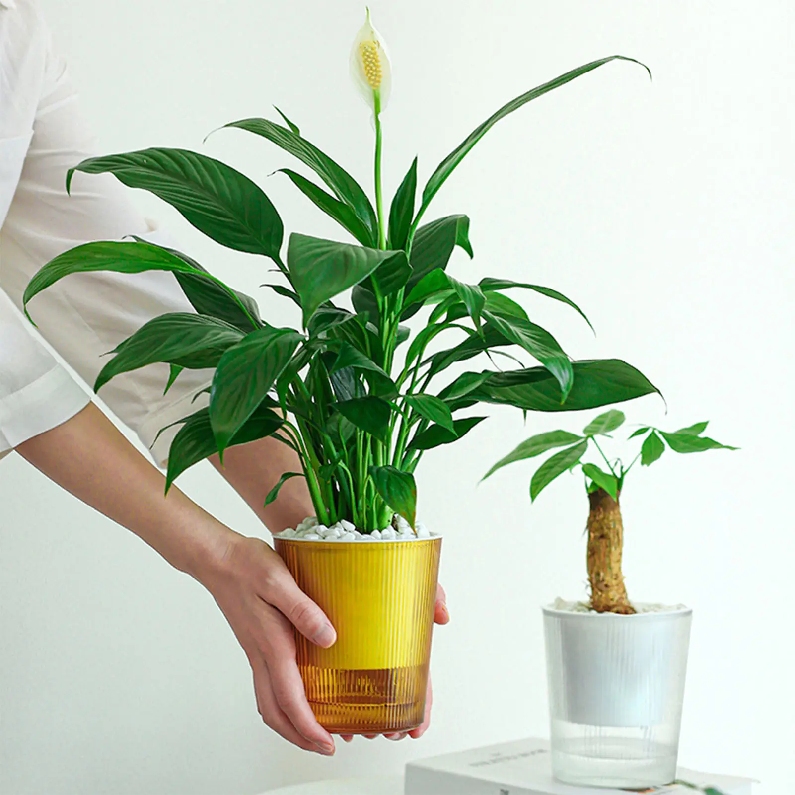 Self Absorbent Resin Flowerpot Imitation Glass Texture Transparent Flowerpot For Plants Spring Water Absorbing Seedling Pot