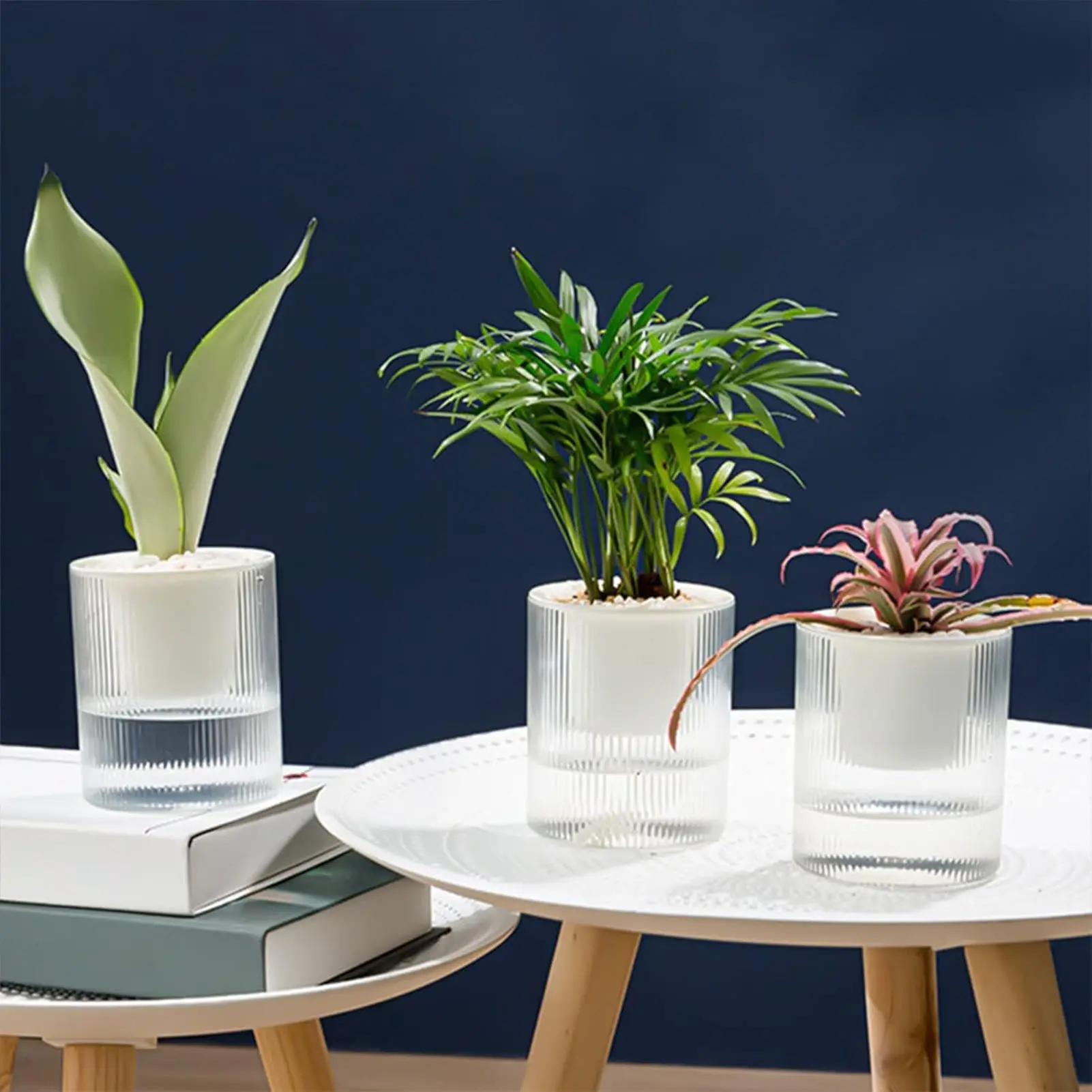 10/15cm Plant Pot Self Absorbing Transparent Plastic Flowerpot For Succulent Plant Basimusmonstera Deliciosa Gardening Supplies
