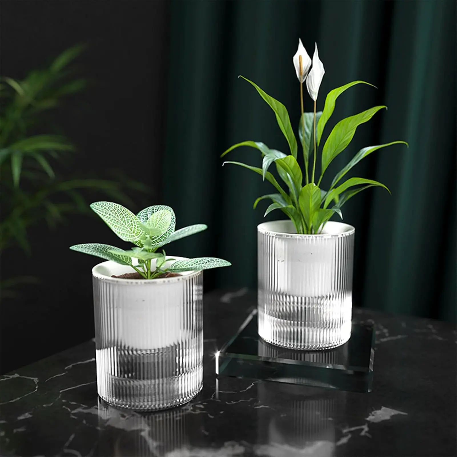 10/15cm Plant Pot Self Absorbing Transparent Plastic Flowerpot For Succulent Plant Basimusmonstera Deliciosa Gardening Supplies