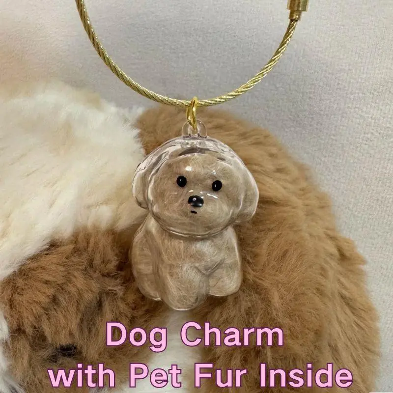 Dog Hair Storage Cute Pendant Keychain Bag Pendant Couple Car Key Chains Jewelry Souvenir Collection Gift Decoration Accessories