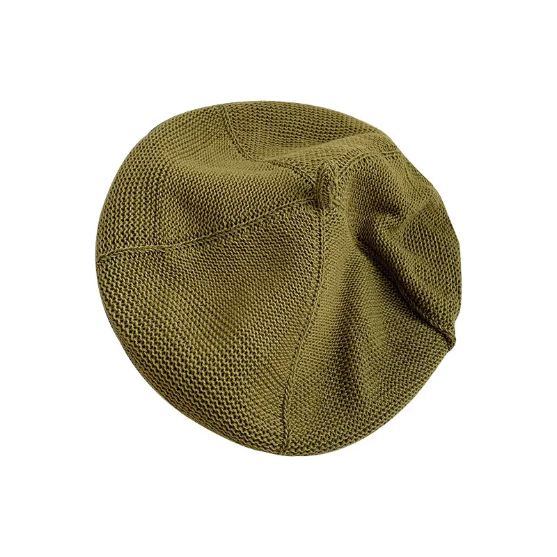 Autumn and winter hemp pattern knitted beret female ins fashion all matching painter hat plain face small warm woolen hat