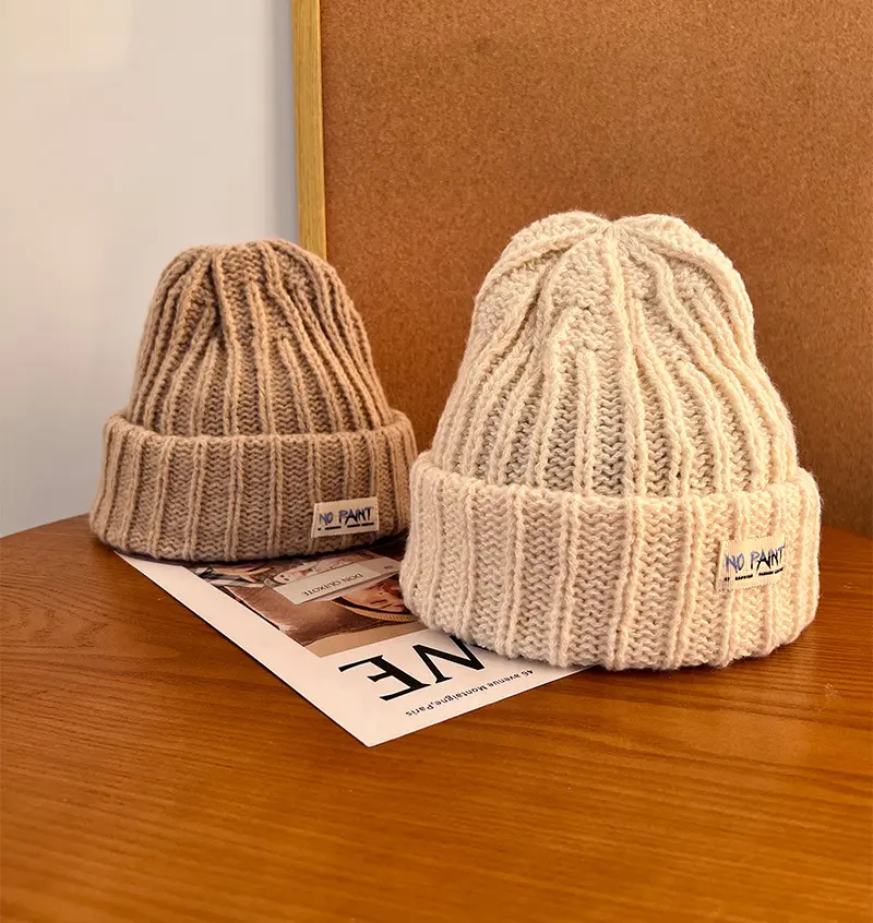 Winter Women Beanie Cap Solid Color Warm Knitted Skullies Hat for Lady Girl Korean Soft Thick Crochet Beanies Caps Bonnet шапка