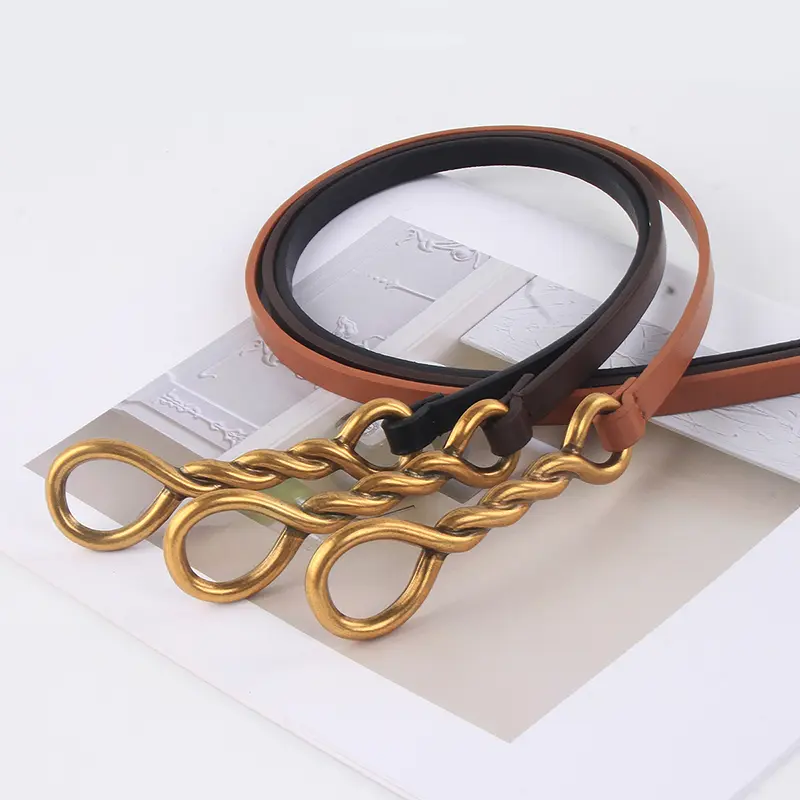 Retro Women Thin Belt Golden Buckle PU Leather Waist Strap for Dress Coat Dress Ladies Female Decor Knotted Waistband 벨트