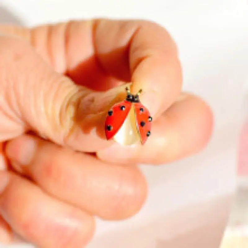 Cute Ladybug Brooch For Women Unisex Opal Red Enamel Beetle Insects Party Casual Brooch Pin Gift
