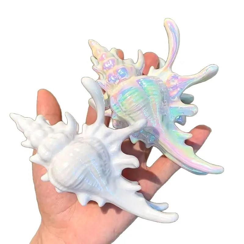 Ocean Conch Hair Clip Crab Sea Shell Korean Large Hair Claw Hairpins Stylish Hairgrips For Women Girls Hair Accessories Ponytail