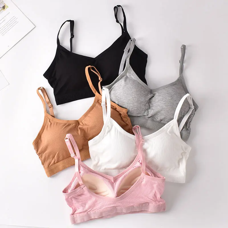 Fixed Cup Adjustable Shoulder Straps Beautiful Back Tube Top Style Ladies New Base Breathable Underwear