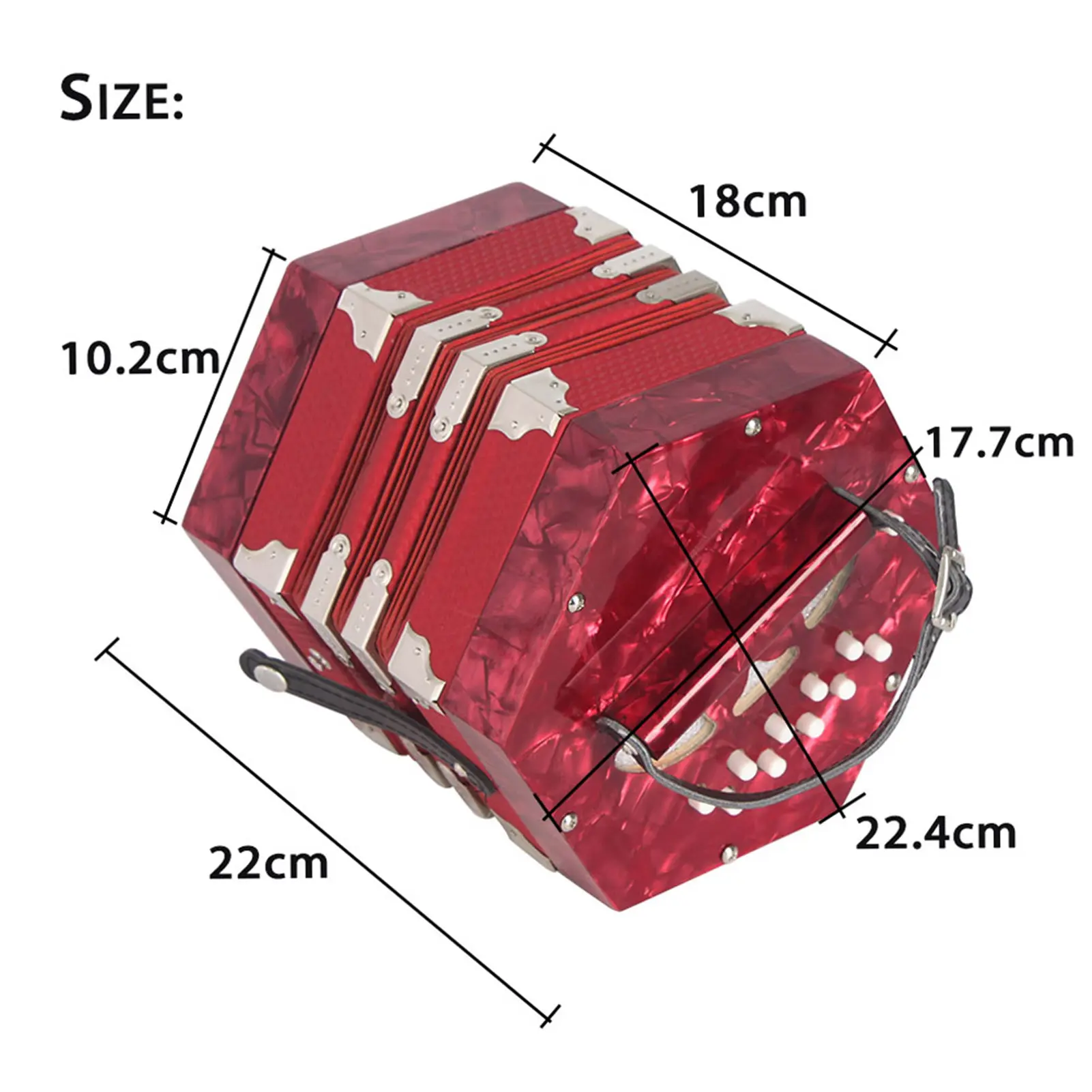 Concertina Accordion 20-Button 40-Reed Anglo Style with Carrying Bag Anglo-style concertina
