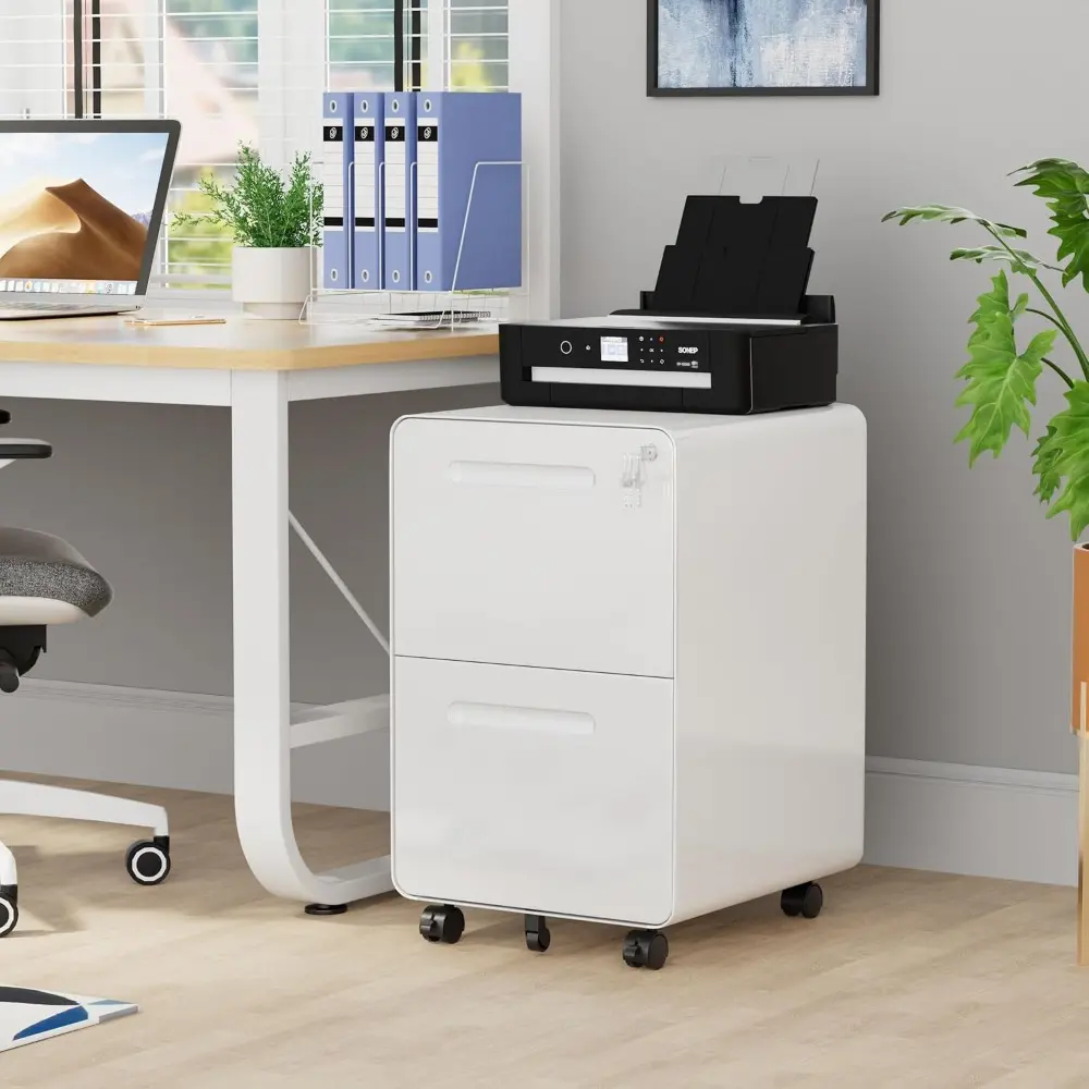2 Drawer File Cabinet with Lock and 4 Keys, Mobile Metal Filing Cabinet, File Cabinets for Home Office, Under Desk, Pre-Assembly