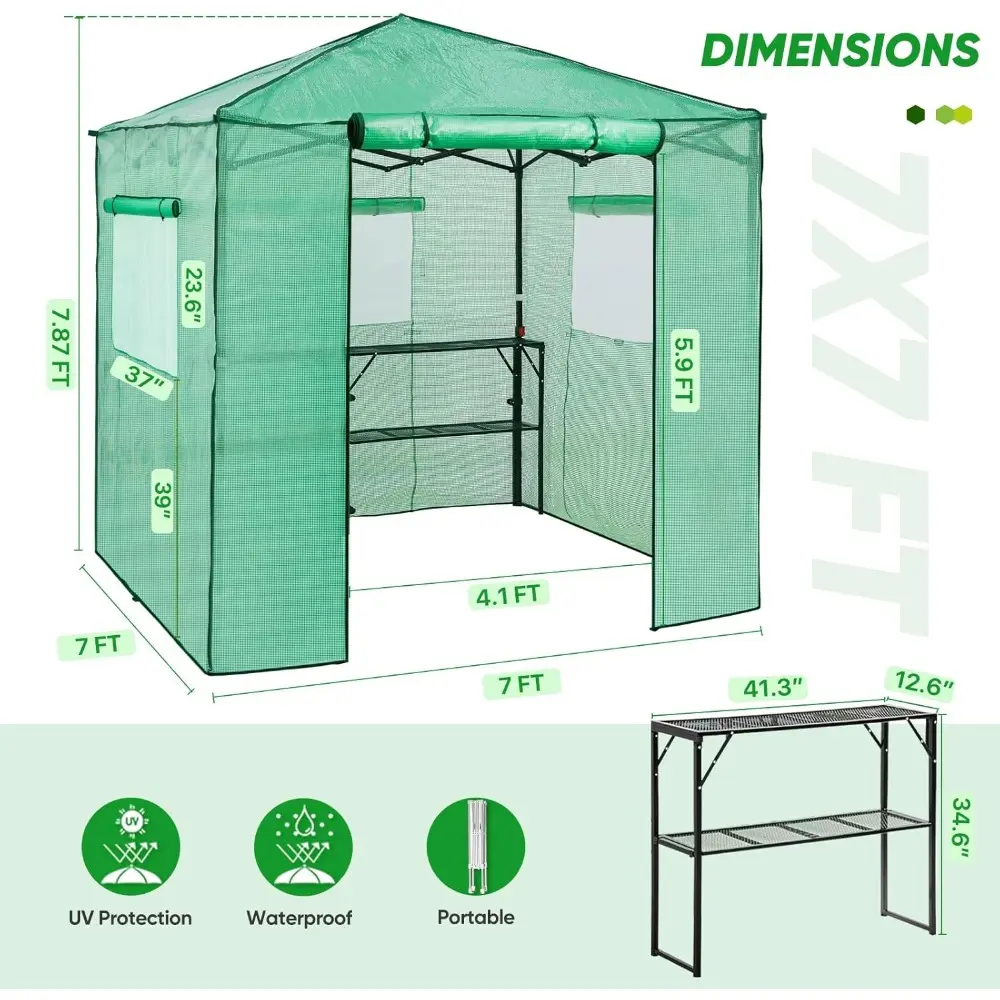 7x7 Pop up Greenhouse Portable Walk-in Outdoor Gardening Green House with 2 Foldable Shelves, Roll-up Zipper Entry Door and 3 M