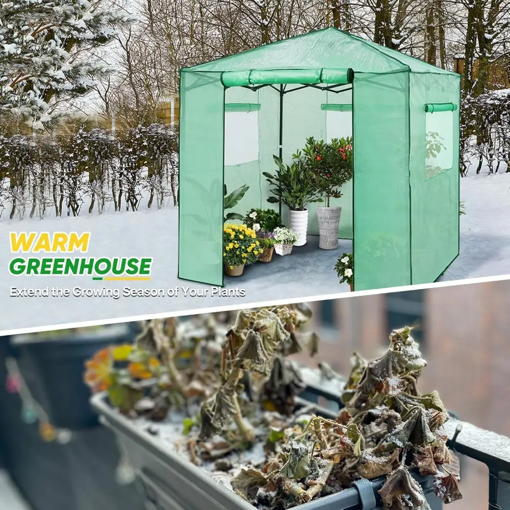 7x7 Pop up Greenhouse Portable Walk-in Outdoor Gardening Green House with 2 Foldable Shelves, Roll-up Zipper Entry Door and 3 M